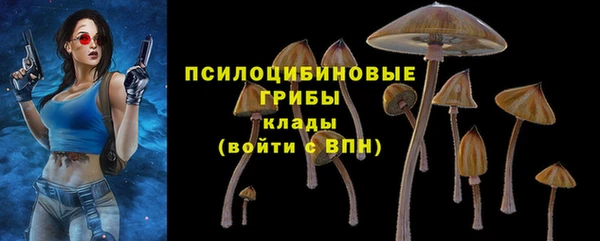 Альфа ПВП Няндома