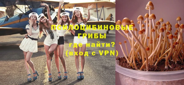 Альфа ПВП Няндома