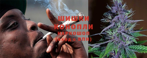 Альфа ПВП Няндома