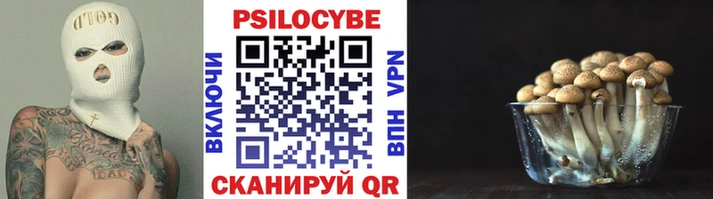 купить цена гидра рабочий сайт Галлюциногенные грибы мицелий Пугачёв